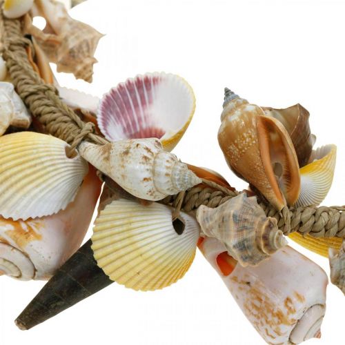 Floristik24 Guirnalda decorativa conchas y caracoles decoración marítima natural Ø30cm
