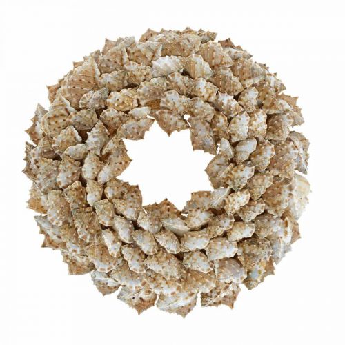 Floristik24 Corona deco caracoles Decoración marítima puerta corona caracoles de mar Ø25cm