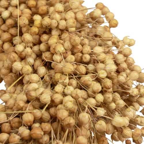 Floristik24 Corona decorativa boho corona decorativa de lino corona natural seca Ø28cm