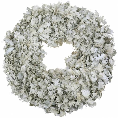 Floristik24 Corona de hojas de roble blanco lavado Ø38cm
