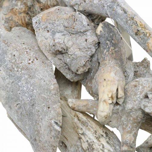 Floristik24 Corona raíz madera gris decoración natural corona raíz Ø40cm H9cm