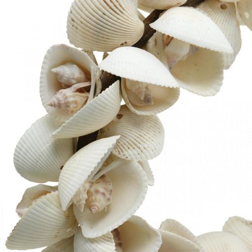 Artículo Corona marítima, decoración del mar, corona decorativa de conchas y caracoles naturales Ø26,5cm