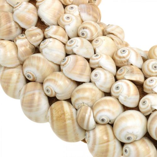 Floristik24 Corona de caracoles, decoración marítima, caracoles Mattukan naturales colores naturales Ø39.5cm