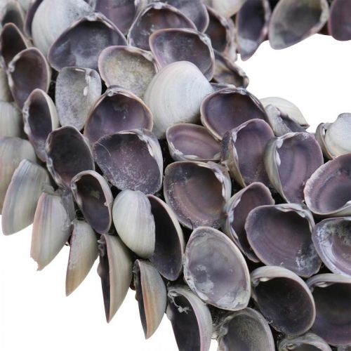 Floristik24 Corona de conchas, conchas naturales violetas, anillo de conchas Ø25cm