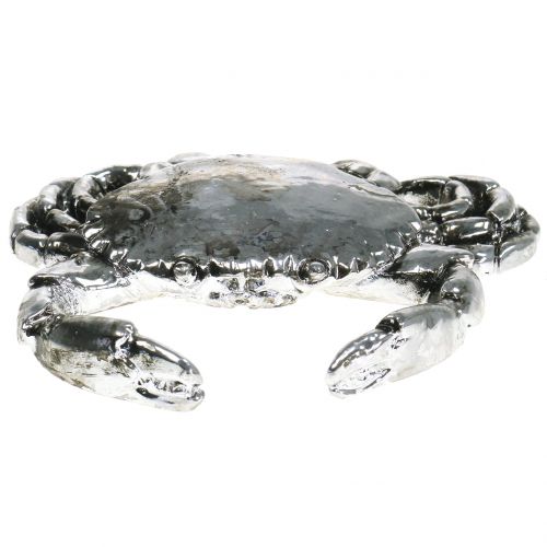 Floristik24 Deco cáncer plata antigua 12cm