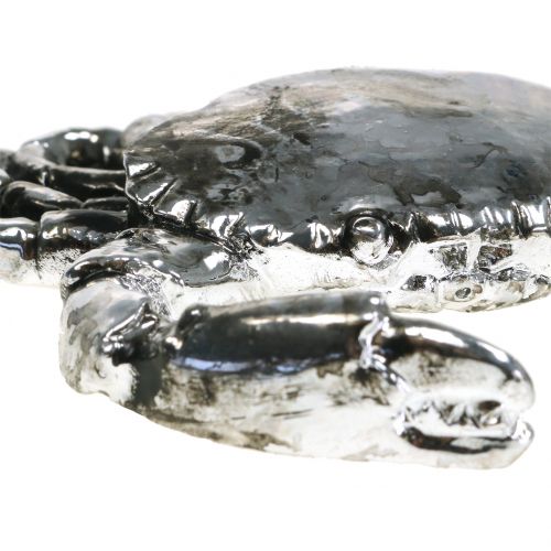 Floristik24 Deco cáncer plata antigua 12cm