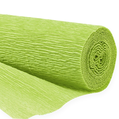 Floristik24 Floreria papel crepe verde mayo 50x250cm
