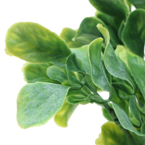 Floristik24 Albahaca en manojo verde artificial 36cm 6pcs