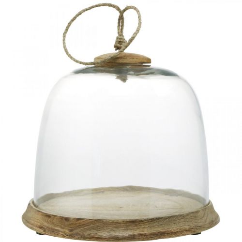 Campana de cristal con placa de madera, campana de pastel con mango de yute H19cm Ø22.5cm