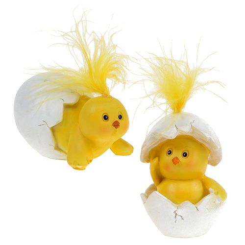 Floristik24 Polluelos amarillos en el huevo 8cm - 12cm 4pcs