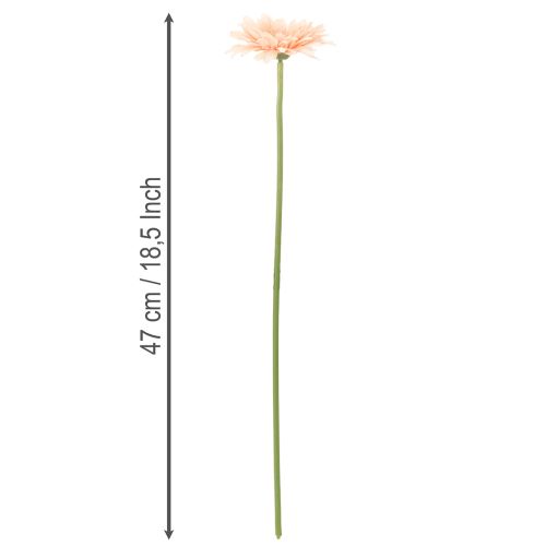 Flores artificiales de gerbera color albaricoque, 47 cm, 6 unidades | Floristik24.es