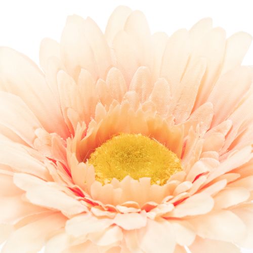 Flores artificiales de gerbera color albaricoque, 47 cm, 6 unidades | Floristik24.es