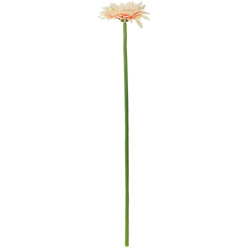 Artículo Flores artificiales Gerbera Albaricoque 47cm