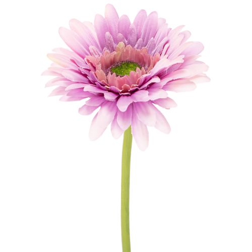 Flores artificiales de gerbera para jardín, color morado, 47 cm, 6 unidades comprar | Floristik24.es