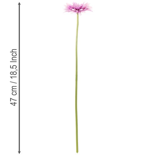 Flores artificiales de gerbera para jardín, color morado, 47 cm, 6 unidades | Floristik24.es