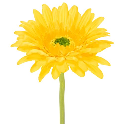 Flores artificiales de gerbera, amarillo brillante, flores de jardín, 47 cm, 6 unidades comprar | Floristik24.es