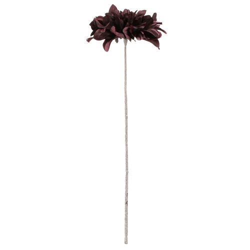 Floristik24 Dalia artificial con flores grandes en burdeos L58cm