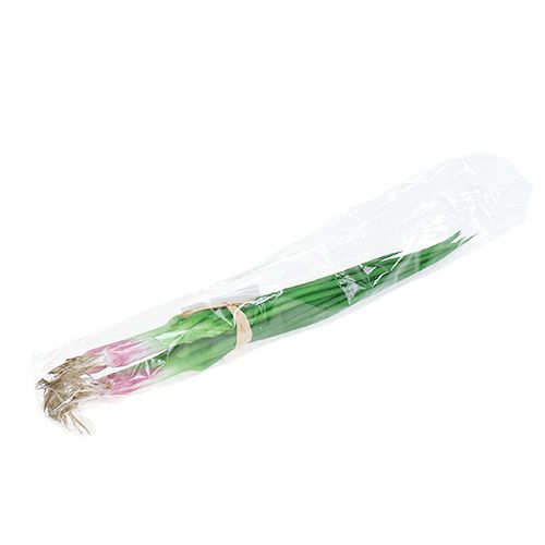 Floristik24 Cebolletas artificiales 30cm 4uds