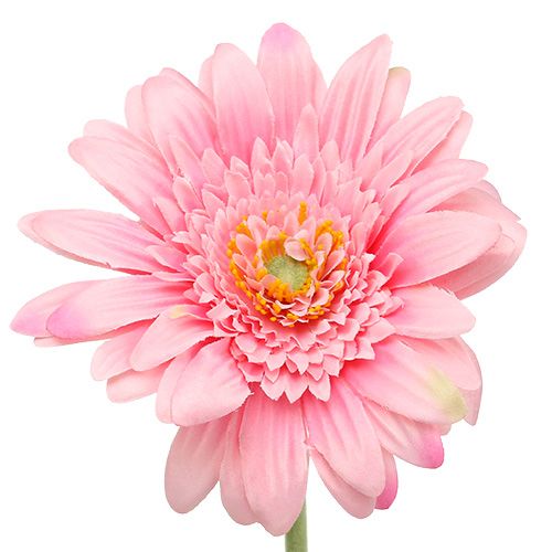 Floristik24 Gerbera artificial rosa Ø10cm L53cm 6pcs