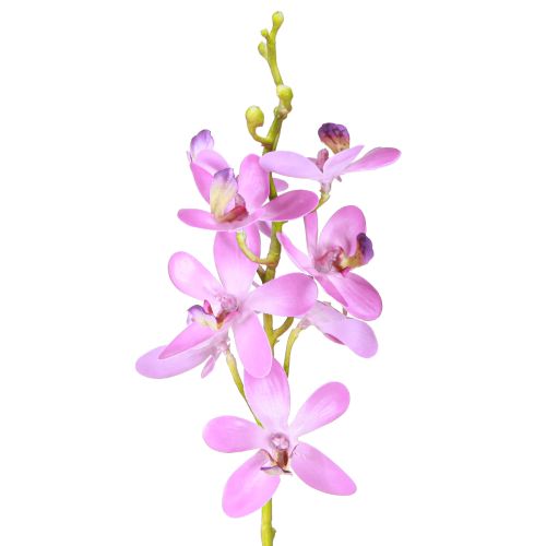 Floristik24 Orquídeas artificiales 8 flores moradas Ø3,5cm–5cm 2uds