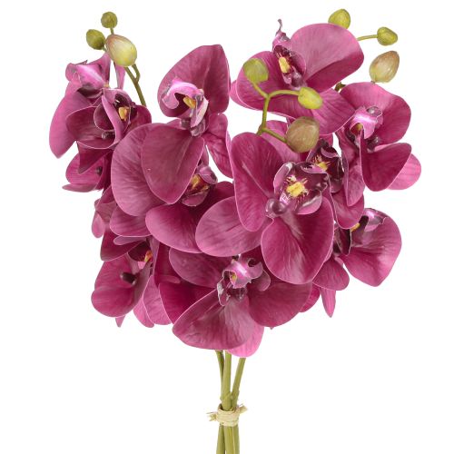 Floristik24 Orquídeas artificiales flores artificiales moradas como reales 56cm 3 piezas