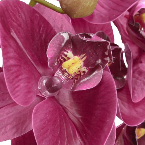 Artículo Orquídeas artificiales flores artificiales moradas como reales 56cm 3 piezas