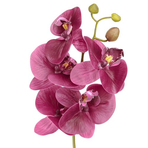 Artículo Orquídeas artificiales flores artificiales moradas como reales 56cm 3 piezas
