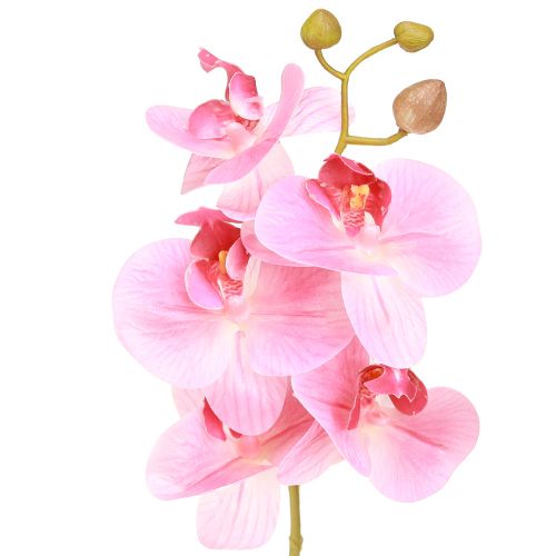 Artículo Orquídeas artificiales rosas, flores artificiales como las reales, 56 cm, 3 unidades