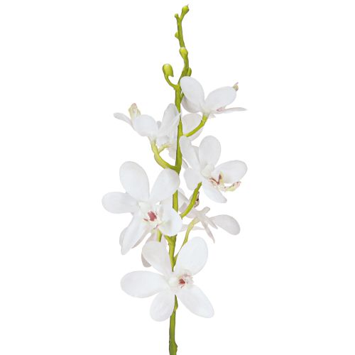 Floristik24 Orquídeas artificiales de flores blancas, diámetro 3,5-5 cm, largo 38 cm, 2 unidades