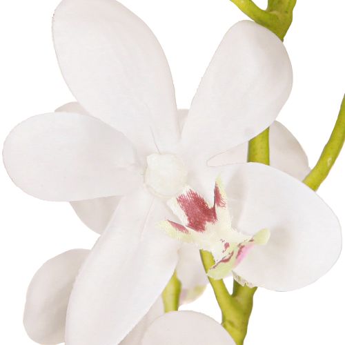 Artículo Orquídeas artificiales de flores blancas, diámetro 3,5-5 cm, largo 38 cm, 2 unidades