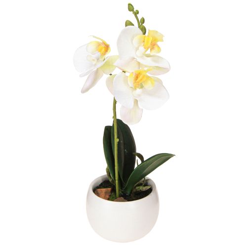 Floristik24 Orquídeas artificiales en maceta mini orquídeas blancas Ø7cm H22cm