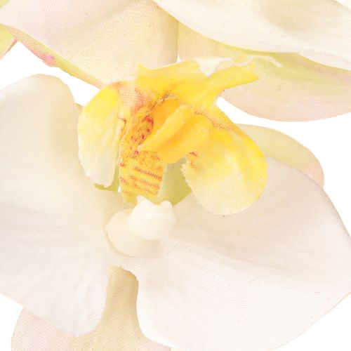 Artículo Orquídeas artificiales en maceta mini orquídeas blancas Ø7cm H22cm
