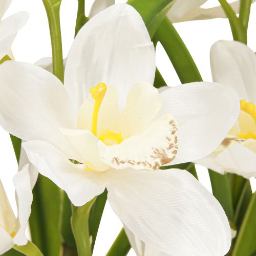 Artículo Orquídeas artificiales en maceta con flores blancas H80cm