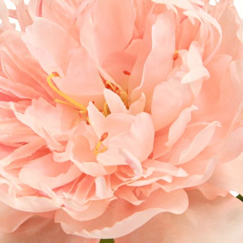 Artículo Peonías artificiales Paeonia rosa salmón L60cm 2 piezas