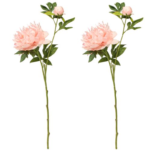 Artículo Peonías artificiales Paeonia rosa salmón L60cm 2 piezas