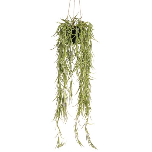 Artículo Planta colgante suculenta artificial en maceta negra 60 cm - Decoración interior duradera