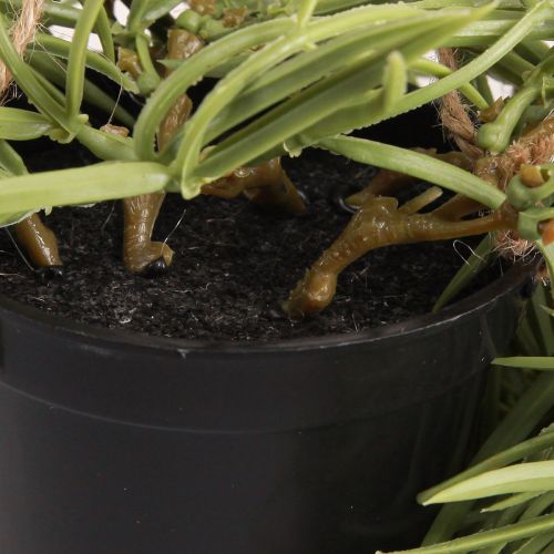 Artículo Planta colgante suculenta artificial en maceta negra 60 cm - Decoración interior duradera