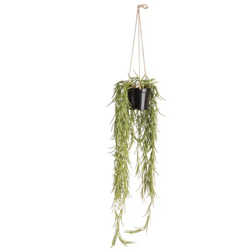 Artículo Planta colgante suculenta artificial en maceta negra 60 cm - Decoración interior duradera