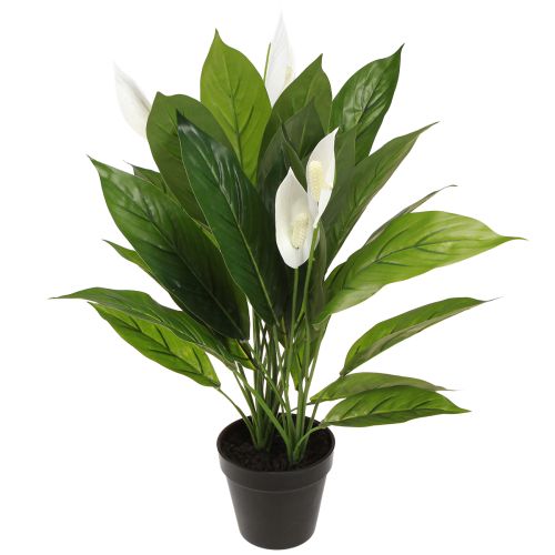 Artículo Planta artificial en maceta de una sola hoja, lirio de la paz, verde, blanco, 55 cm