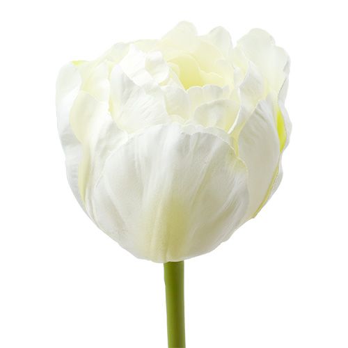 Floristik24 Tulipanes Artificiales Blanco-Verde 86cm 3pcs