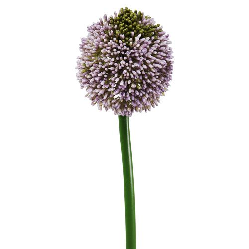 Floristik24 Flores artificiales Allium Violeta Ø10cm L65cm