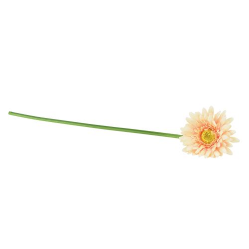 Artículo Flores artificiales Gerbera Albaricoque 47cm