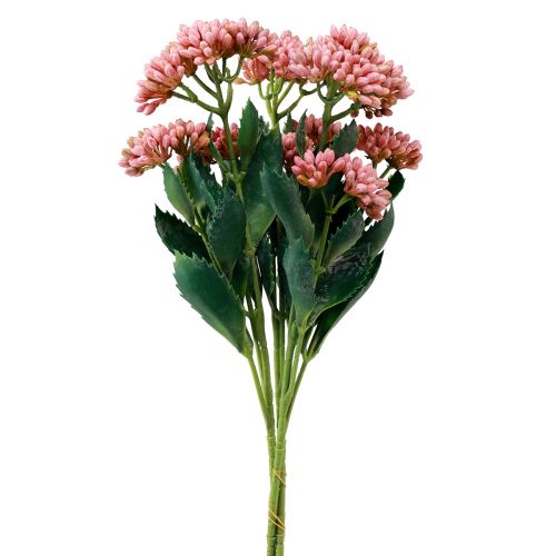 Artículo Gallina Gorda Artificial Sedum Stonecrop floración rosa 47cm 3ud