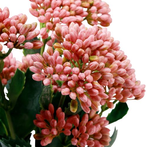 Artículo Gallina Gorda Artificial Sedum Stonecrop floración rosa 47cm 3ud