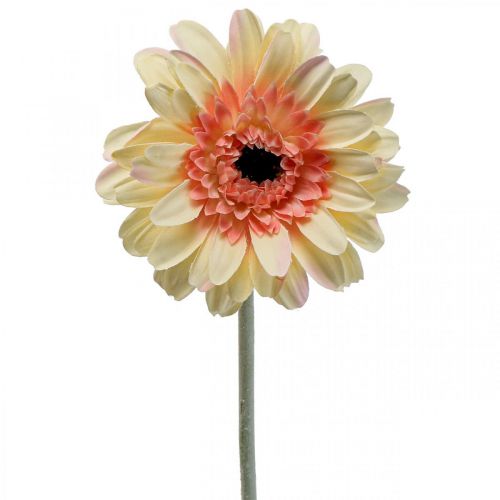 Artículo Gerbera artificial flor artificial albaricoque Ø11cm L50cm