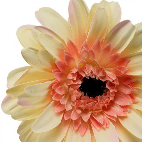 Artículo Gerbera artificial flor artificial albaricoque Ø11cm L50cm