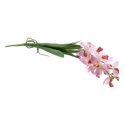 Artículo Orquídea Artificial Rosa Blanca Flor Artificial Orquídea 73cm