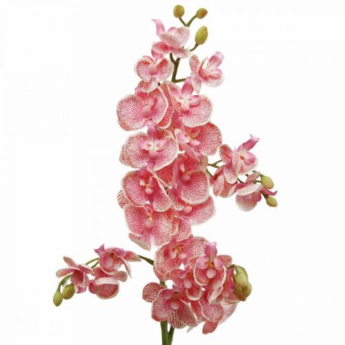 Orquídeas artificiales deco flor artificial orquídea rosa 71cm