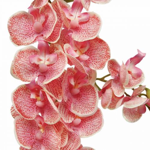 Floristik24 Orquídeas artificiales deco flor artificial orquídea rosa 71cm