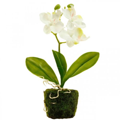 Floristik24 Orquideas artificiales Flor artificial orquidea blanca 20cm